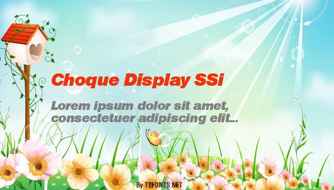 Choque Display SSi example